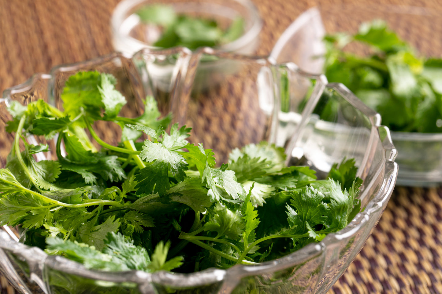 パクチー 1株 200g前後